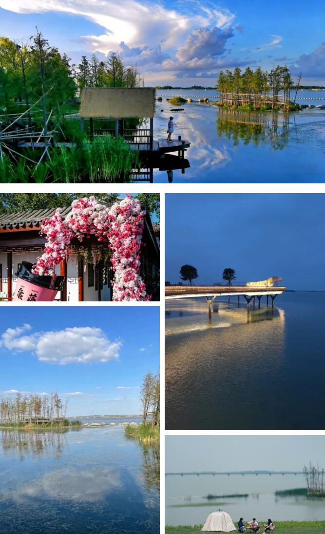 中加枫华国际学校后花园元荡湖.jpg