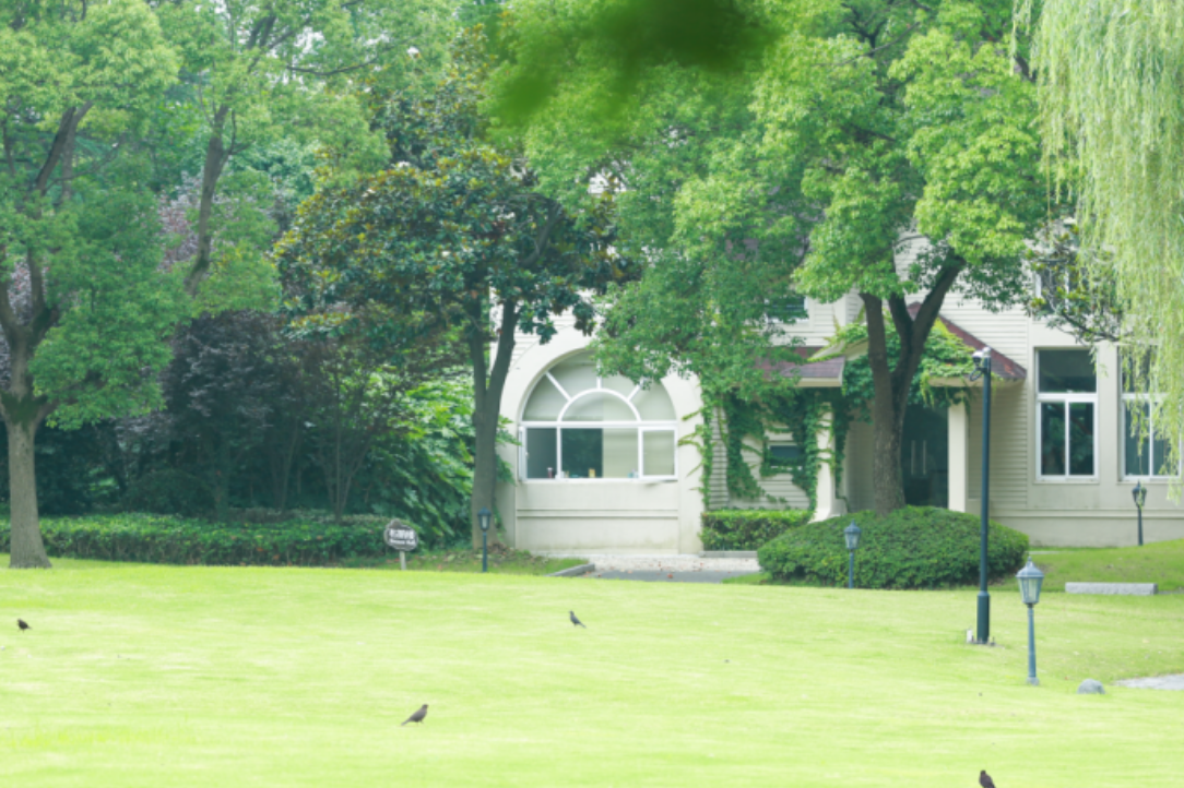 美华学校草坪.jpg