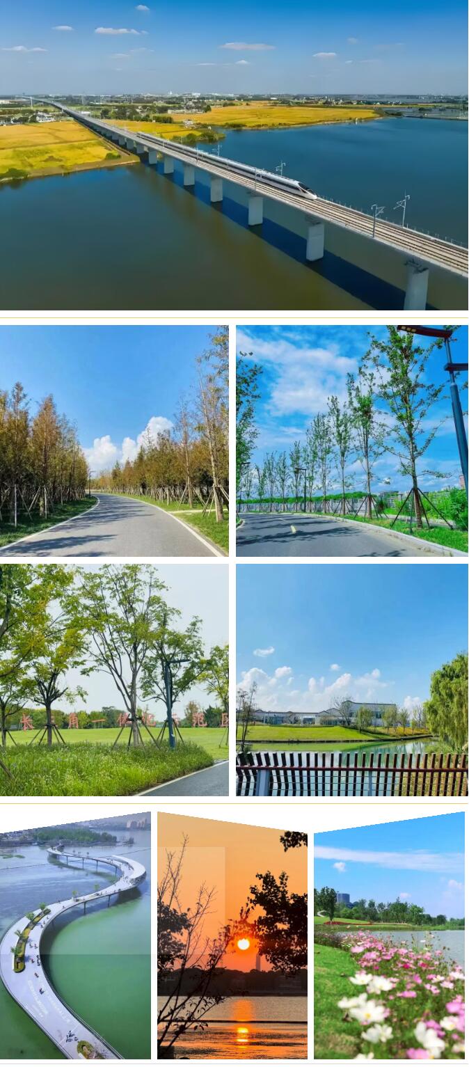 中加枫华国际学校元荡湖.jpg